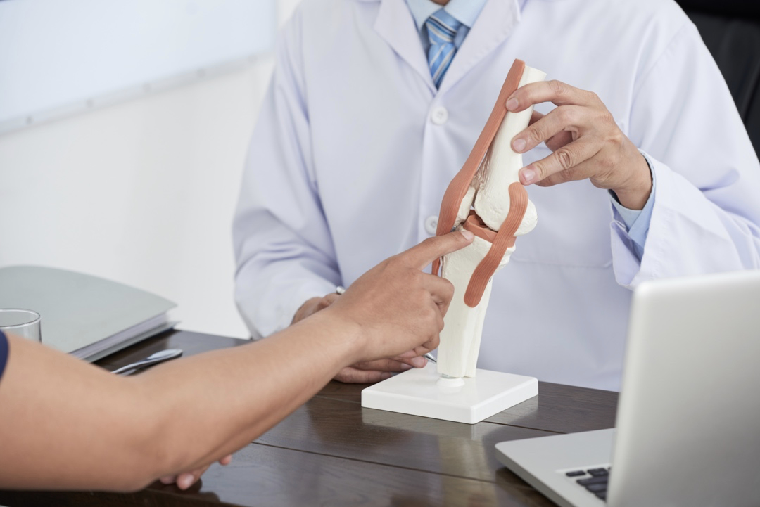 Close-up image of doctor showing model of joint to patient