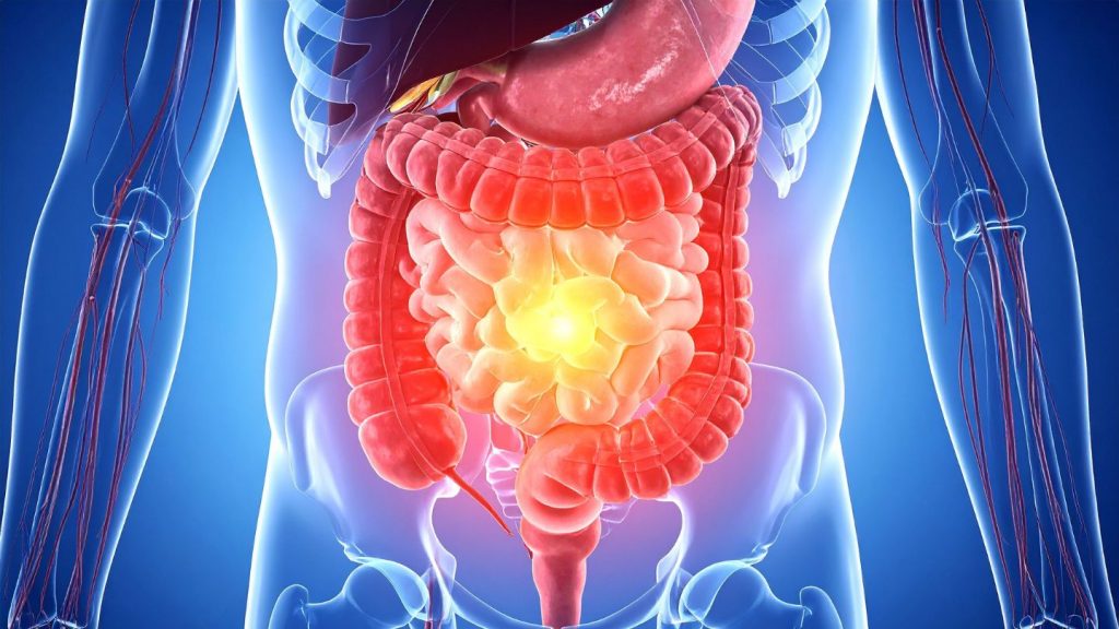 How Gastric Sleeve Affects Gut Hormones and Appetite