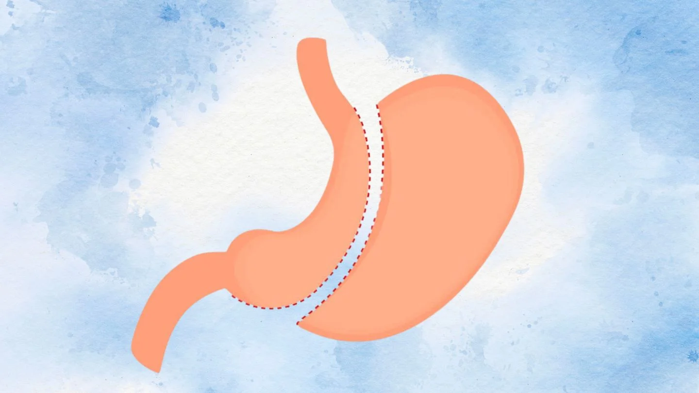 Stomach Illustration